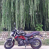 بنلی جفت سیلندر۳۰۰