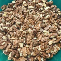 مغز گردو ایرانی