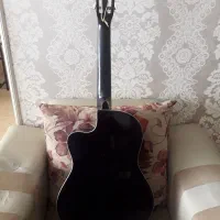 گیتار برند ولف|گیتار، بیس، امپلیفایر|سقز, |دیوار