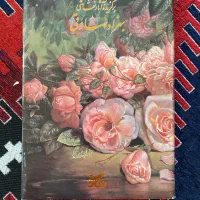 کتاب کلکسیونی نقاشی های کمال الملک و علیرضا صدقدار|کتاب و مجله تاریخی|اندیشه, شهرک مریم|دیوار