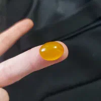 شرف الشمس اصل مرغوب