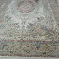 فرش نگین مشهد|فرش|وحیدیه, |دیوار