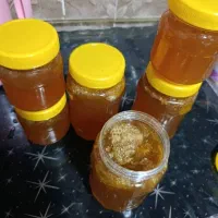 عسل زنبور وحشی