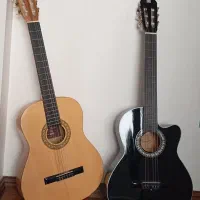 دو عدد گیتار نو