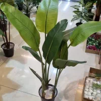 ریشه بنسای درختچه مصنوعی سبز گیاه درخت تنه دار