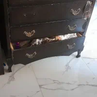 دراورپنج کشاب،میزسلطنتی،
