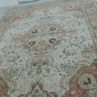 ۱۲ متری کرم|فرش|ساری, |دیوار