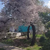 فروش-باغچه-مناسب-کافه