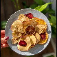 خشک‌کن میوه راهی سالم برای ماندگاری طعم‌ها|ماشین‌آلات صنعتی|ارومیه, |دیوار