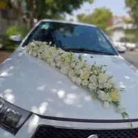 ماشین عروس|گل و گیاه طبیعی|مشهد, رده|دیوار