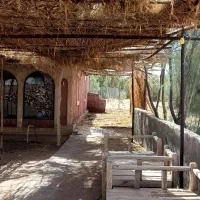 باریستا  کافه گردان و کارمند فروش