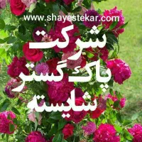 اعزام نظافتچی خانم و نظافتچی آقا از شرکت خدماتی