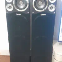 باند ایستاده لومکس