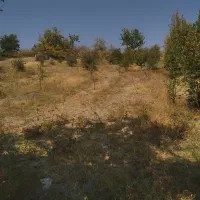 فروش باغ کشاورزی