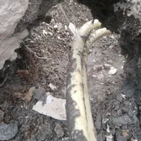 رفع نم حمام توالت ترکیدگی لوله لوله کشی عایق کاری|خدمات پیشه و مهارت|پردیس, فاز ۳|دیوار