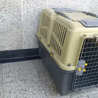 باکس پت استاندارد|لوازم جانبی حیوانات|ساری, |دیوار