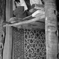 قالیشویی کیان