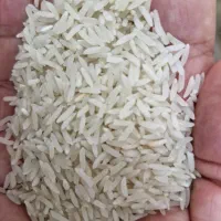 فروش برنج فجر محلی