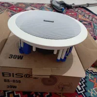 بلندگو سقفی