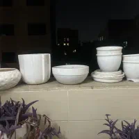 گلدان خانگی