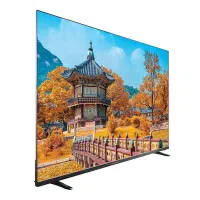 تلویزیون 65 اینچ دوو (اقساط)