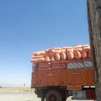 کاه گندم دیم