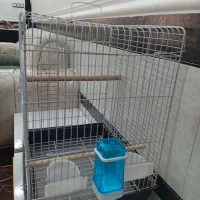 قفس|لوازم جانبی حیوانات|سوسنگرد, |دیوار