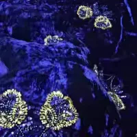 لباس|لباس|دهدشت, |دیوار