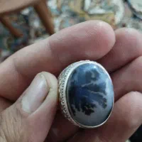 انگشتر شجر 31گرم