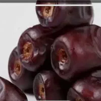 خمیرخرما محلی