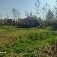 ویلا جنگلی|فروش خانه و ویلا|رشت, بازار|دیوار