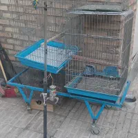 ۴عدد قفس بزرگ ۸عدد جوجه پران|پرنده|تبریز, |دیوار