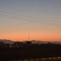 بلیط کنسرت مجید رضوی