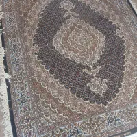 جفت شش متری ماهی