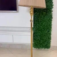 آباژور طلایی