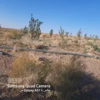 زمین کشاورزی ابی مناسب برای باغ ودامداری مرغداری|فروش زمین و ملک کلنگی|زنجانرود, |دیوار