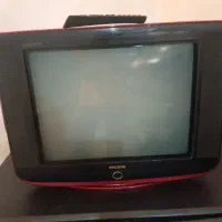 تلویزیون