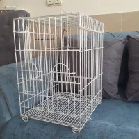 فروش قفس پرنده