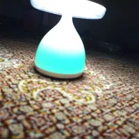 چراغ خواب|چراغ خواب و آباژور|تبریز, |دیوار