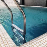 اجاره روزانه/هفتگی/ماهانه ویلا ۵۰۰ متری در کهنز