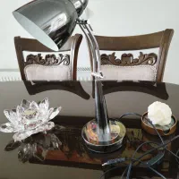 دو عدد چراغ مطالعه نو پردیس