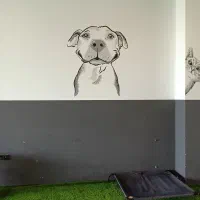 همکار خانم جهت کار نظافتی