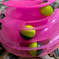 اسباب بازی گربه|لوازم جانبی حیوانات|ری, علایین|دیوار