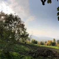 زمین بافت مسکونی با چشم انداز فوق العاده|فروش زمین و ملک کلنگی|گلوگاه, |دیوار