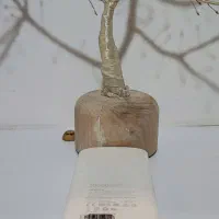 پاوربانک 20/000 Adata|لوازم جانبی موبایل و تبلت|بابل, |دیوار