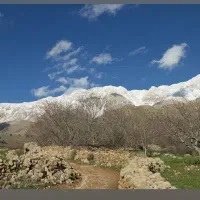 فروش باغ روستای شمشیر (پاوه)|فروش زمین و ملک کلنگی|پاوه, |دیوار