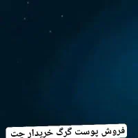 ساعت|ساعت|ایرانشهر, |دیوار