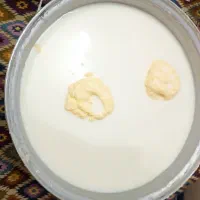 دوغ تلمبی وگاوی