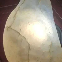 راف الماس|جواهرات|تهران, آزادشهر|دیوار