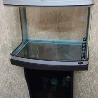 اکواریوم